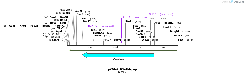 70537_map