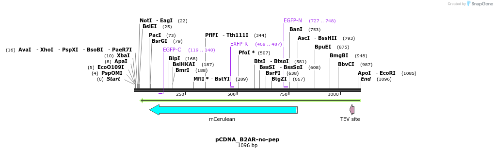 70542_map