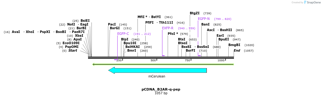 70549_map