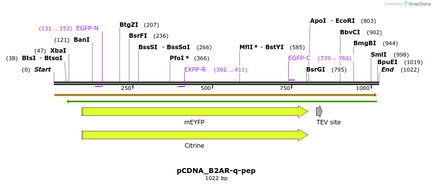 70551_map
