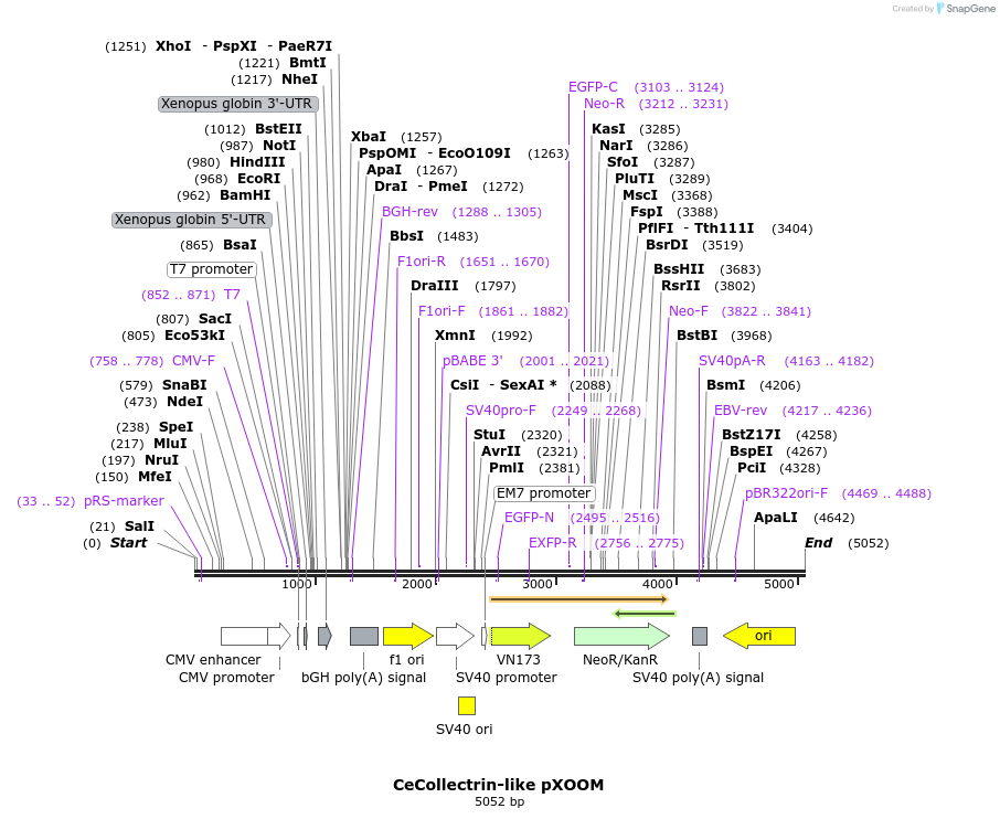 70552_map
