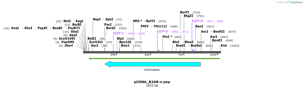 70554_map