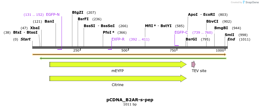 70555_map