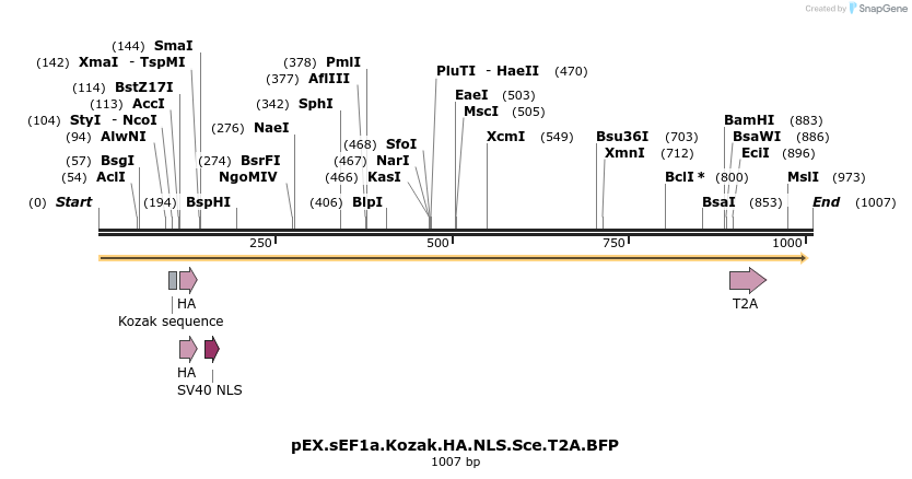 70572_map