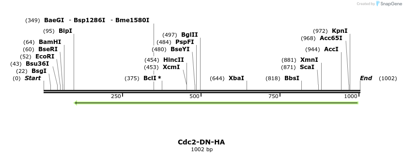 70574_map