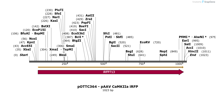 70575_map