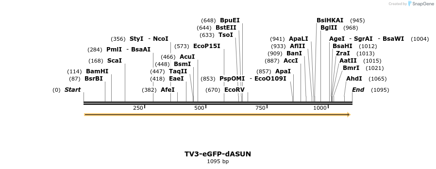 70581_map
