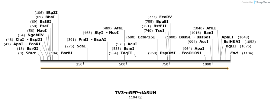 70582_map