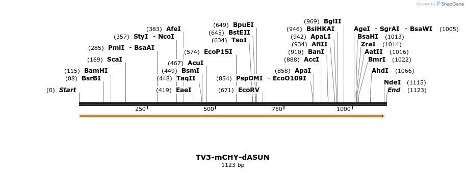 70584_map