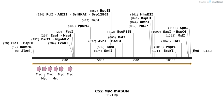 70586_map