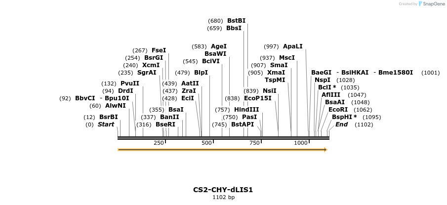 70588_map