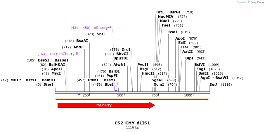 70589_map