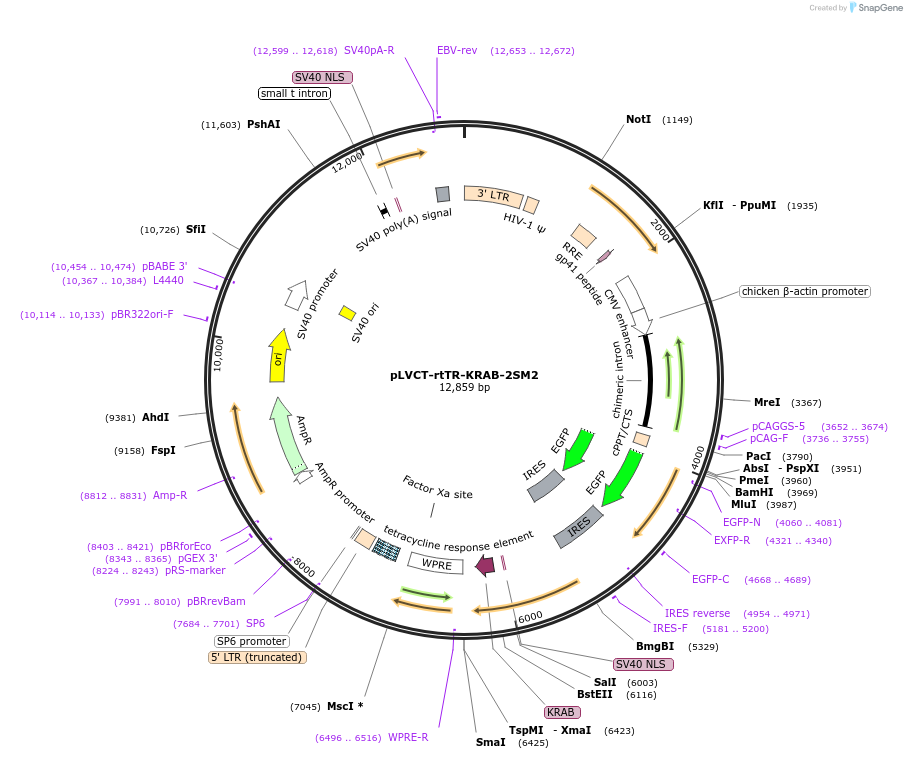 7059_map
