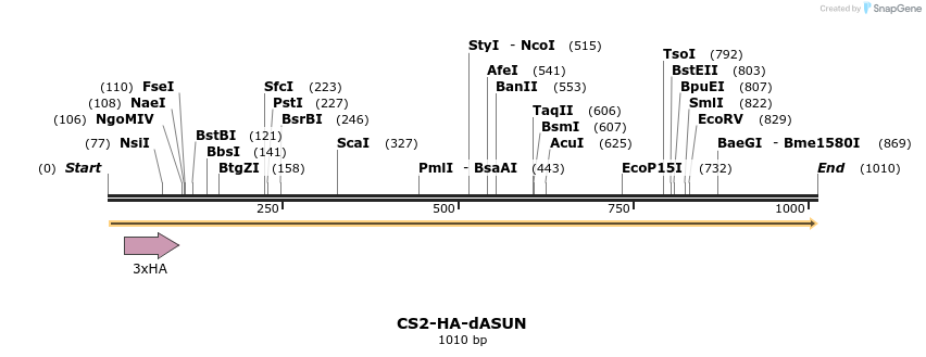70590_map