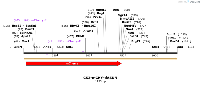 70592_map