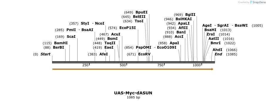 70594_map