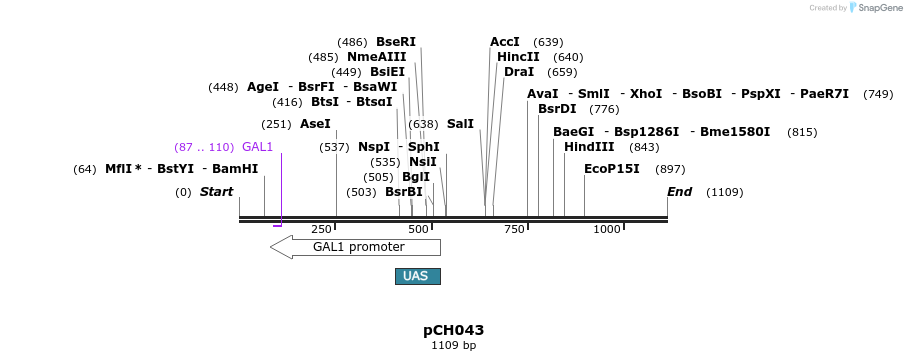 70606_map