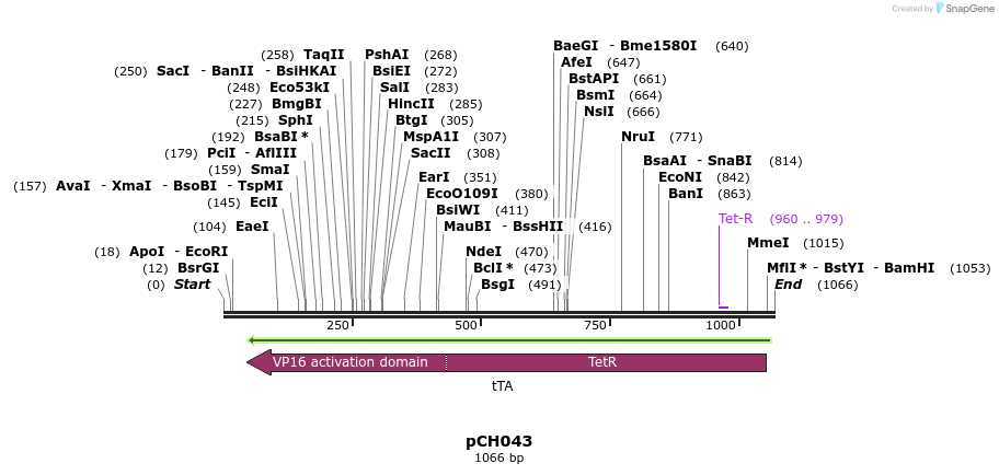 70608_map