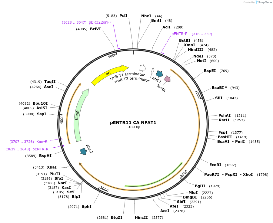 7061_map