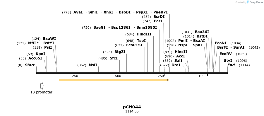 70611_map