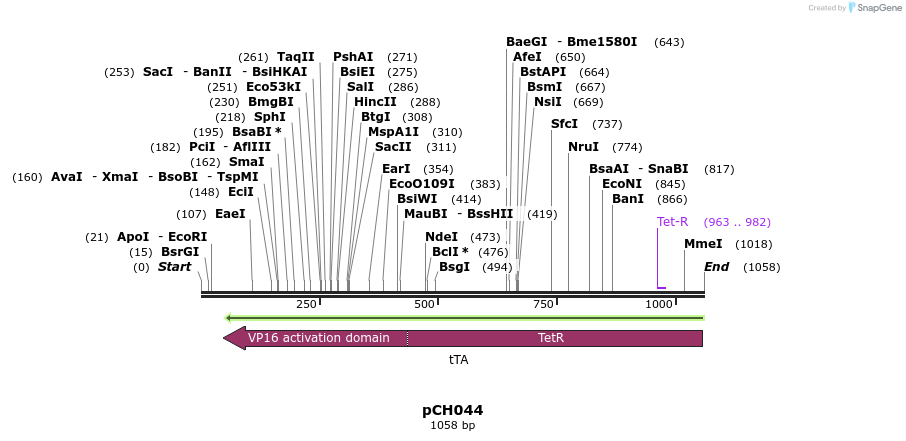 70613_map