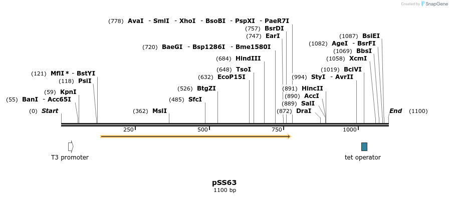 70616_map