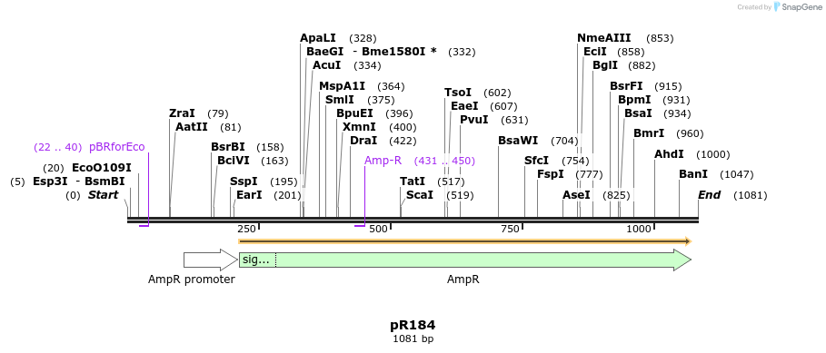 70625_map