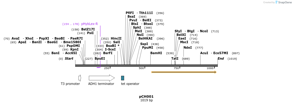 70626_map