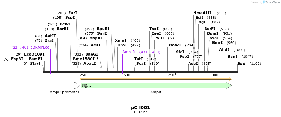 70628_map