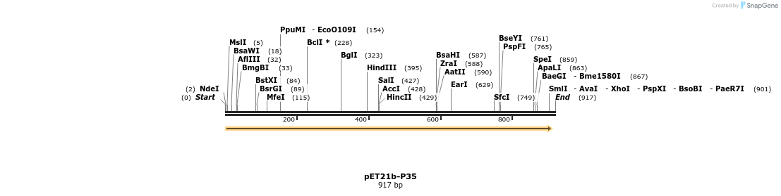7063_map