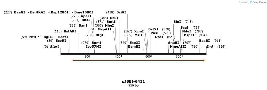 70643_map
