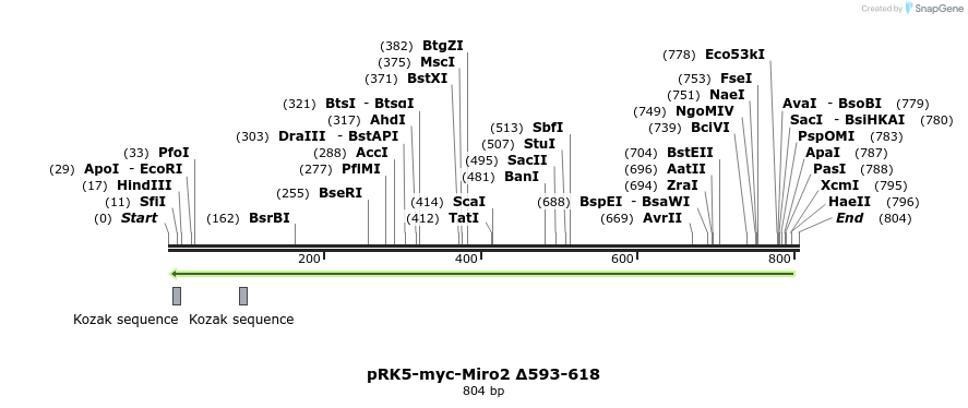 70645_map
