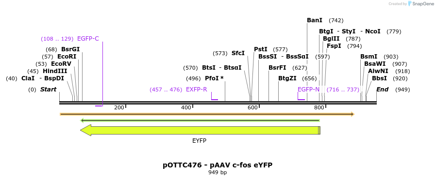 70646_map