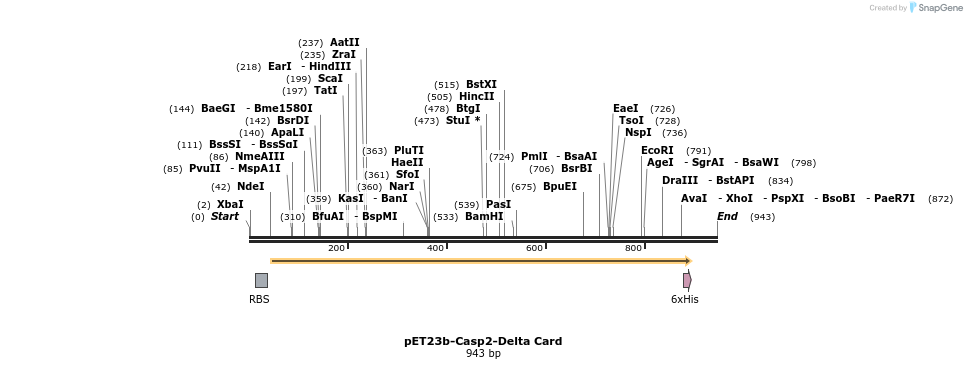 7065_map