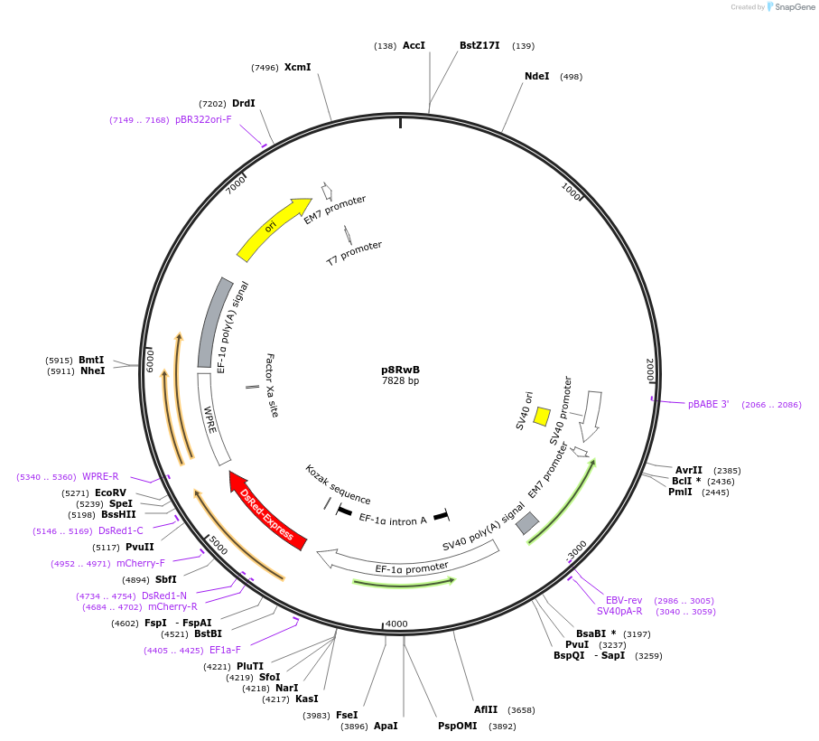 70650_map