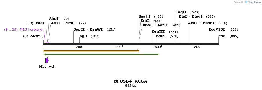 70651_map