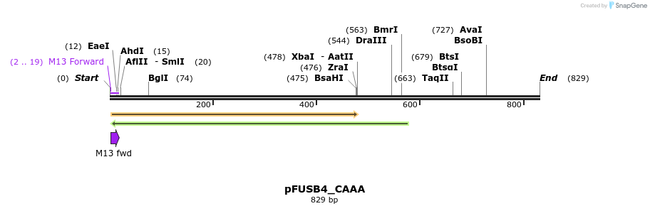 70656_map