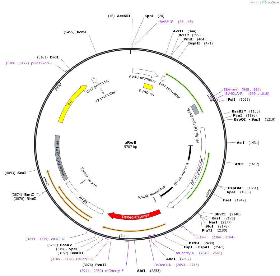 70658_map
