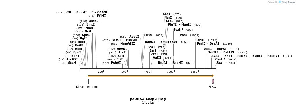 7066_map