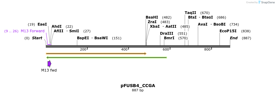 70662_map