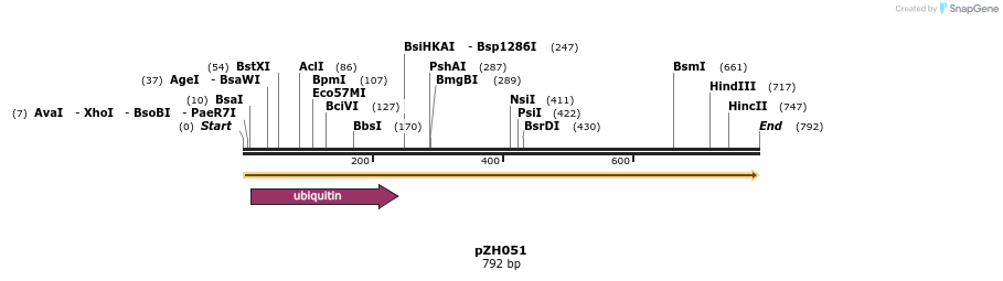 70666_map