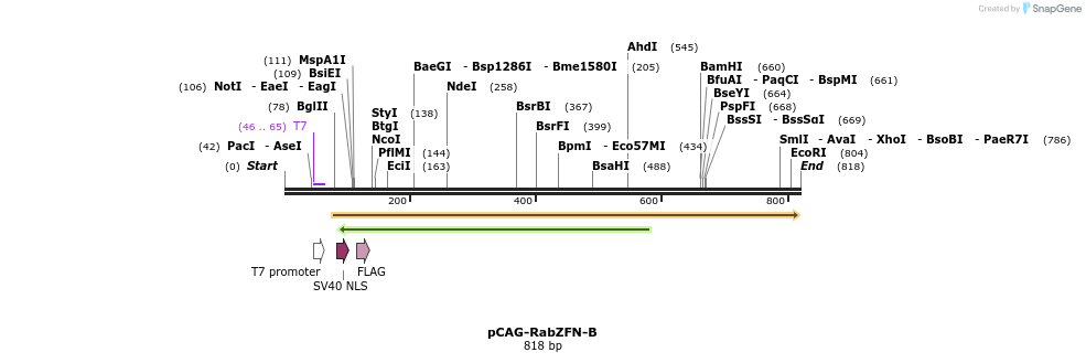 70667_map