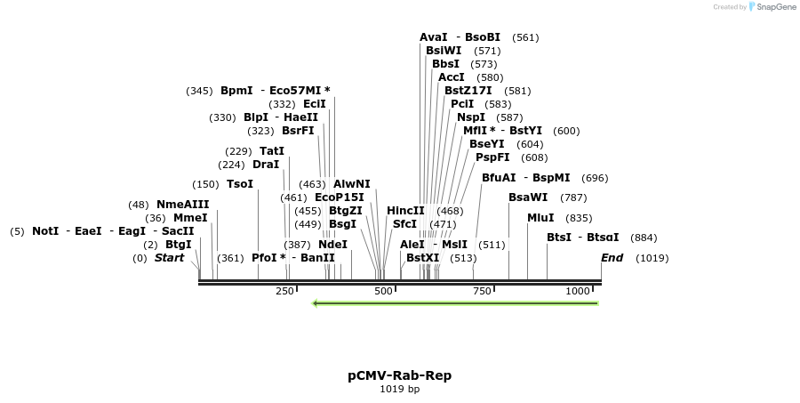 70669_map