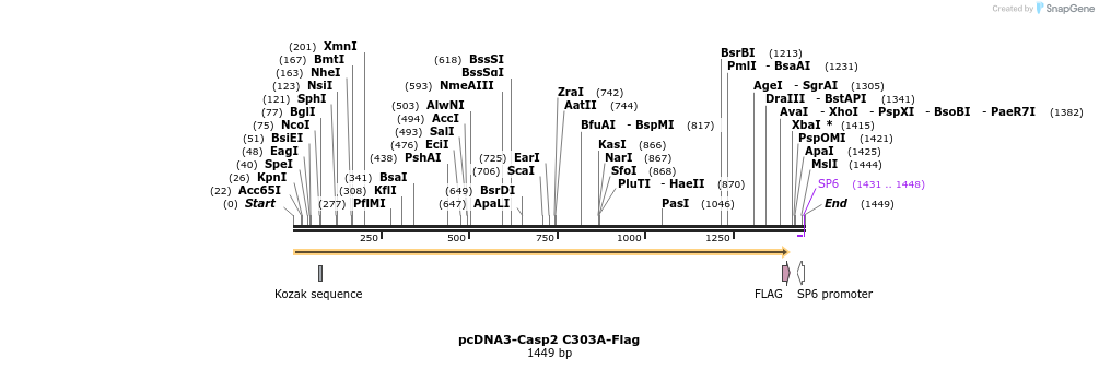 7067_map
