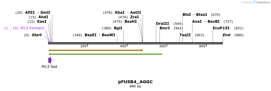 70674_map