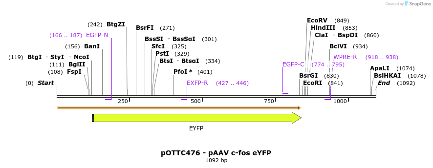 70676_map