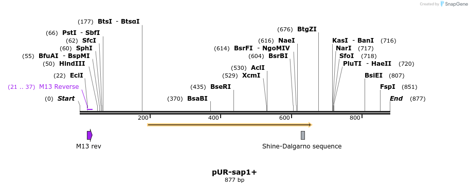 70677_map