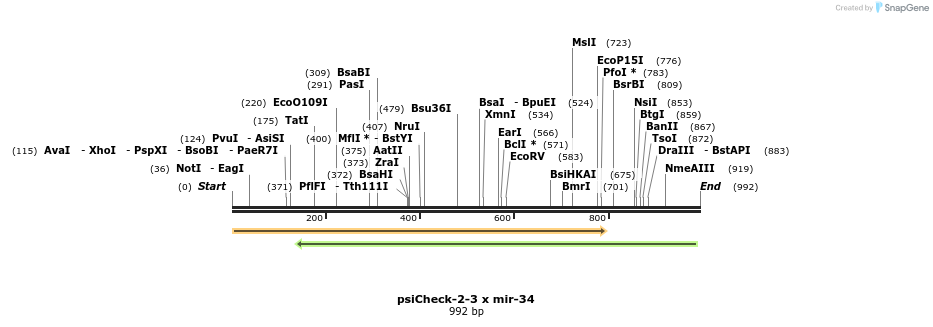 70679_map