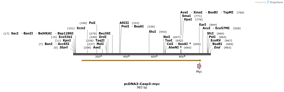 7068_map