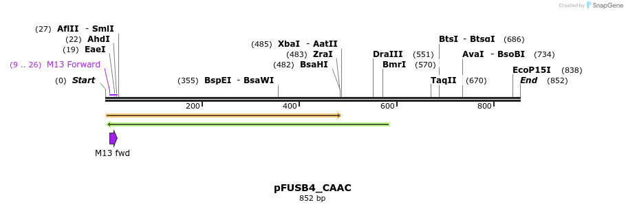 70680_map